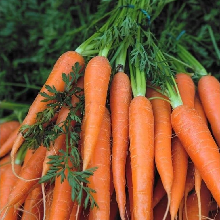 

Wortel Lokal Segar 1Kg | Manis, Renyah & Siap Masak – Langsung dari Petani