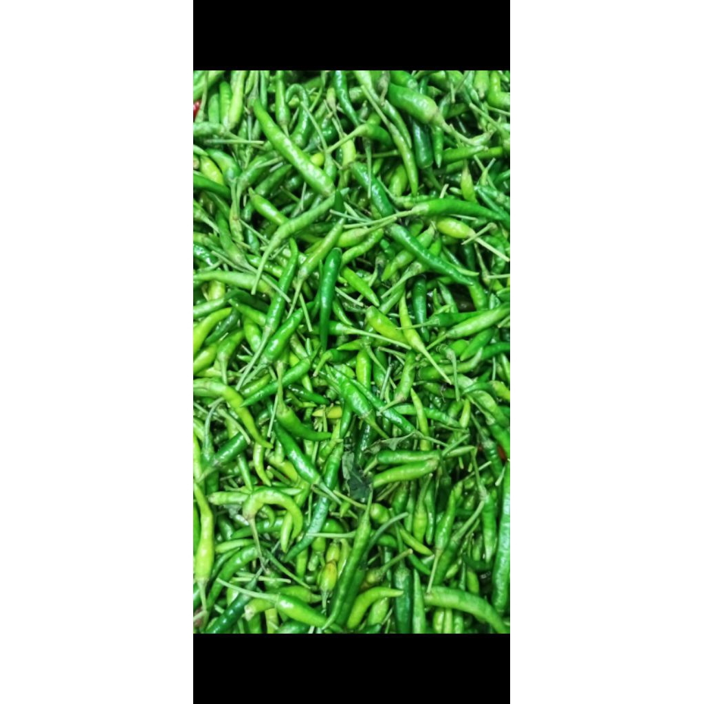 

cp jawa perkilo//1kg//1000g//original//