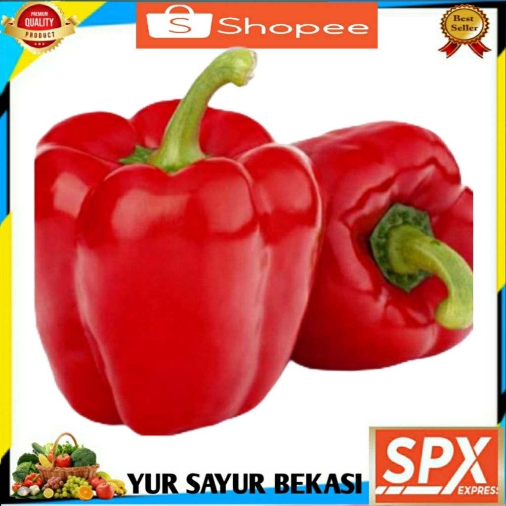 

Paprika Merah (1 pcs).