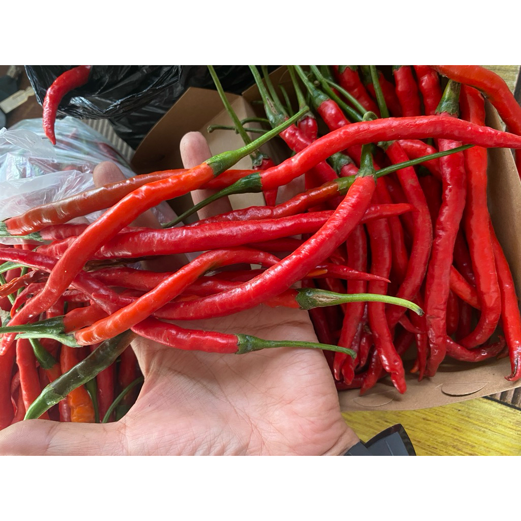 

cabe rawit merah segar 500 grm,sayuran segar