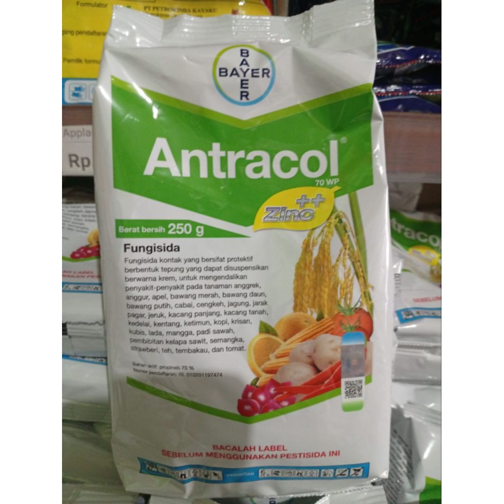 fungisida antracol 250 gram