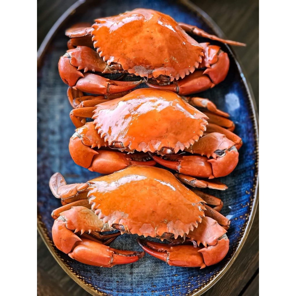 

Kepiting Rebus Segar 1kg