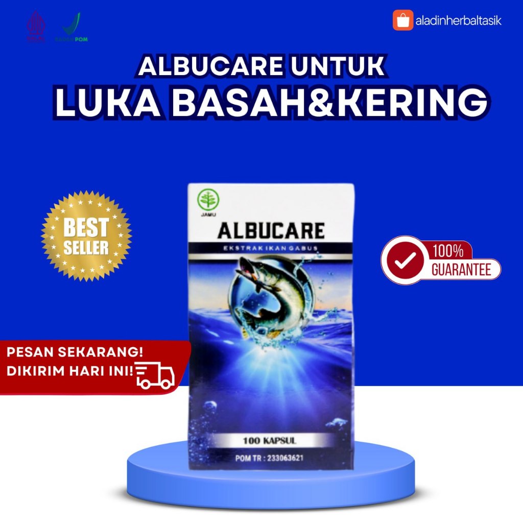 ALBUCARE Kapsul Ekstrak Albumin Kutuk Ikan Gabus Obat Untuk Atasi Luka Diabetes Basah