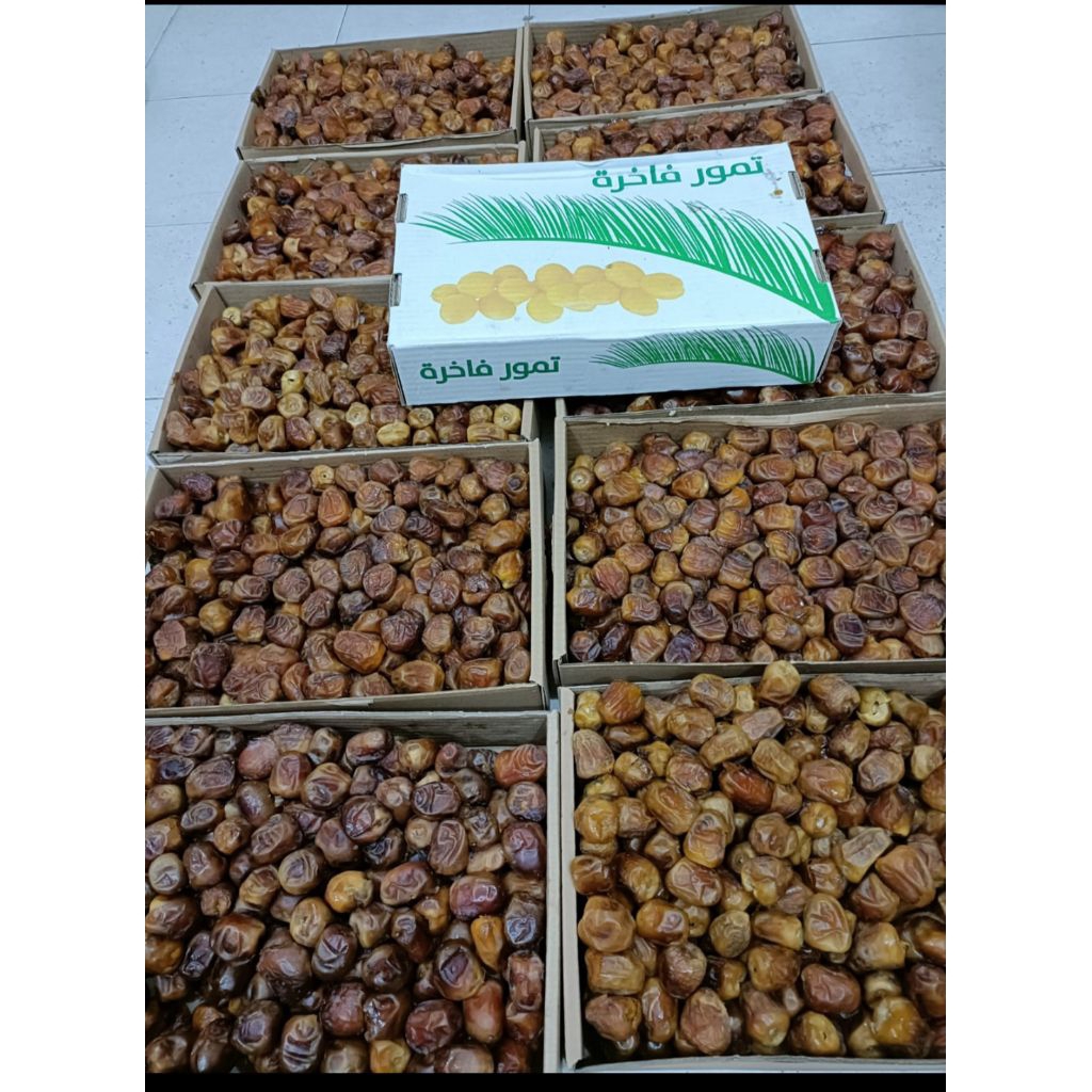 

Kurma Sukari, Kurma Denpasar