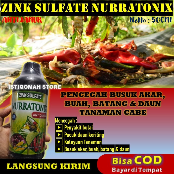 100% AMPUH ZINK NURRATONIX Obat Busuk Buah Tanaman Cabe | Cegah Busuk Kering & Basah pada Buah Cabai