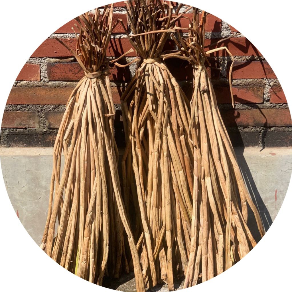 Enceng gondok kering per biji