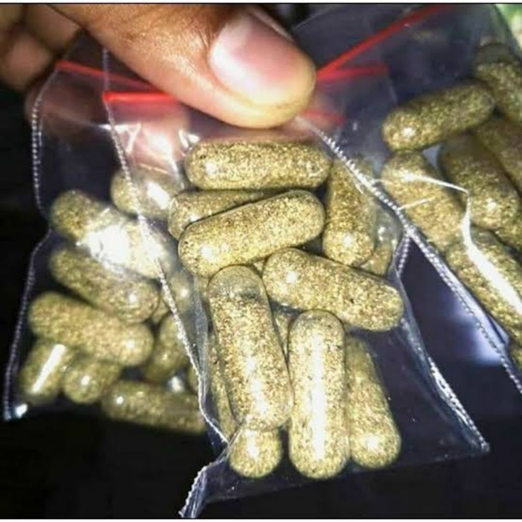 starter kutu air telur kutu air kapsul