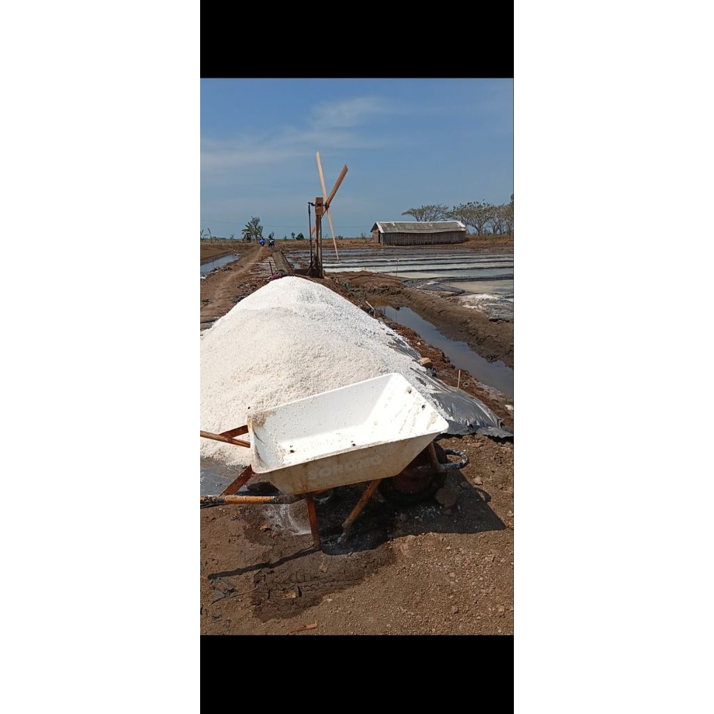 

Garam Krosok 5 Kg Kualitas Terjamin NACL