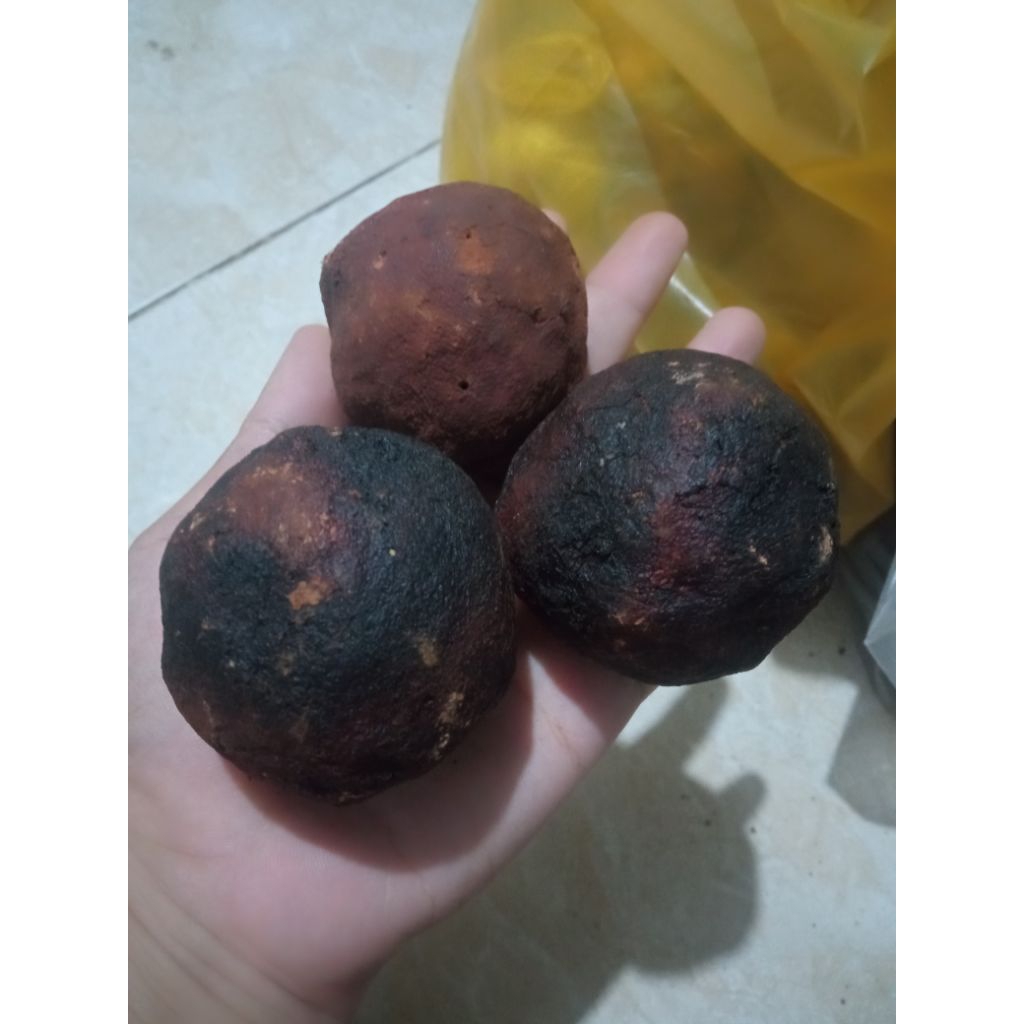 

Gambir maha bunga/getah Gambir/Gambir organik