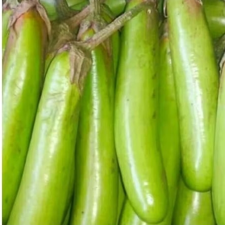 

Terong Hijau 1kg/500grm