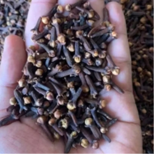 

CENGKEH KERING ASLI – REMPAH PILIHAN UNTUK MASAKAN & HERBAL