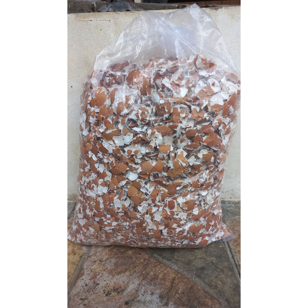 Cangkang Telur Ayam 1kg