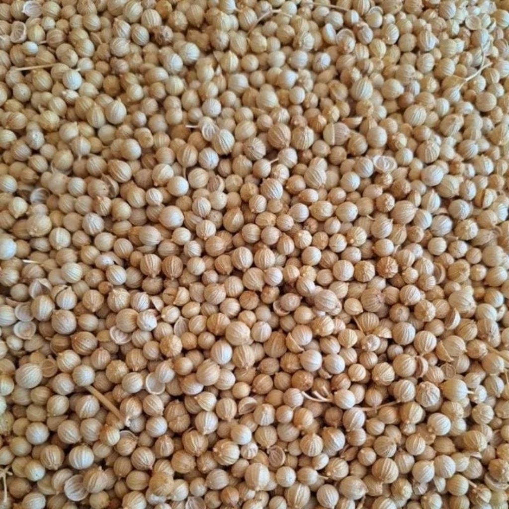 

Ketumbar Bumbu Masak Rempah Segar Premium Fresh 100 gr