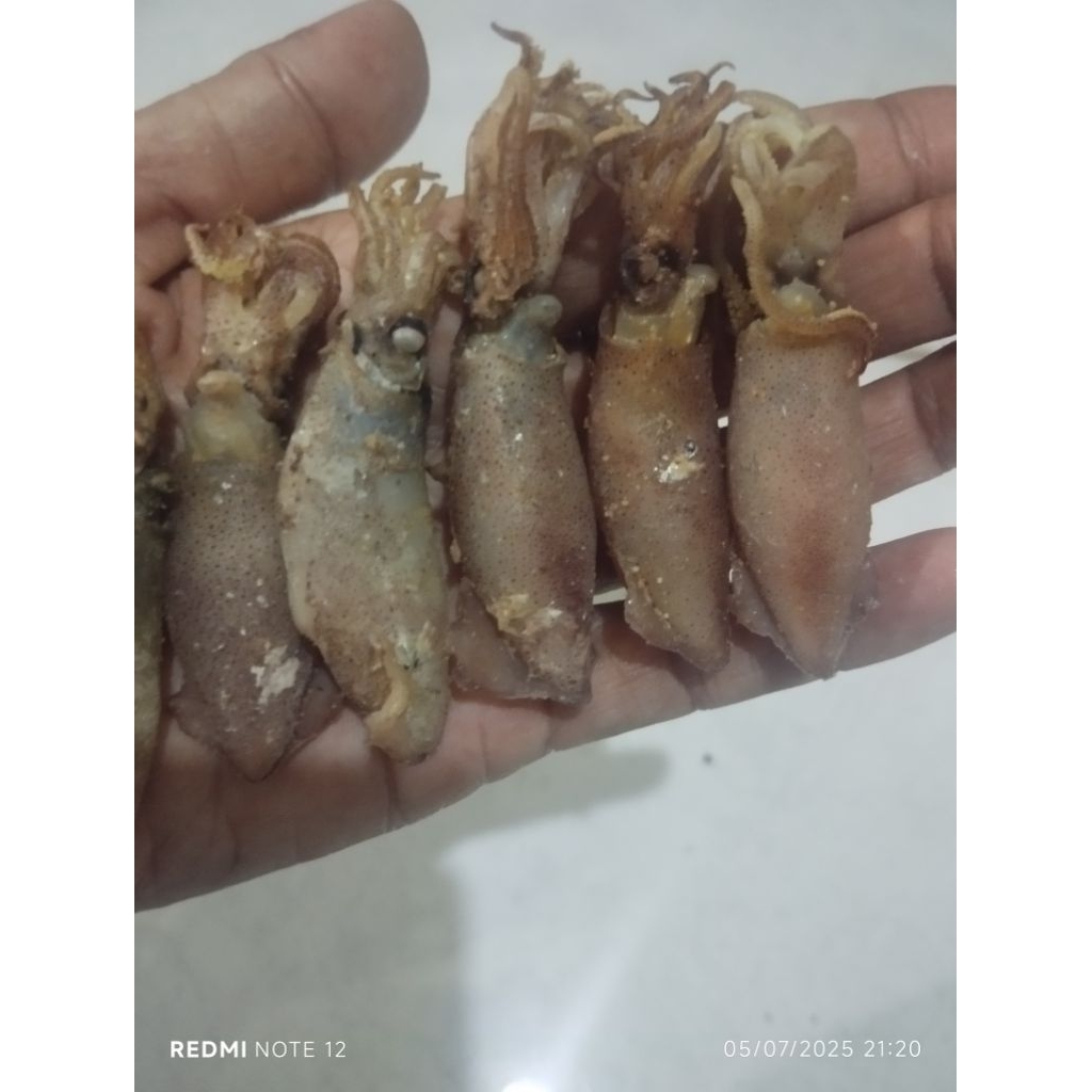 

remaja cumi super/1000gr