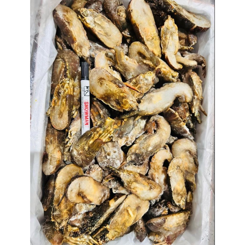 

Titik Frozen | Lobster belah 500gr