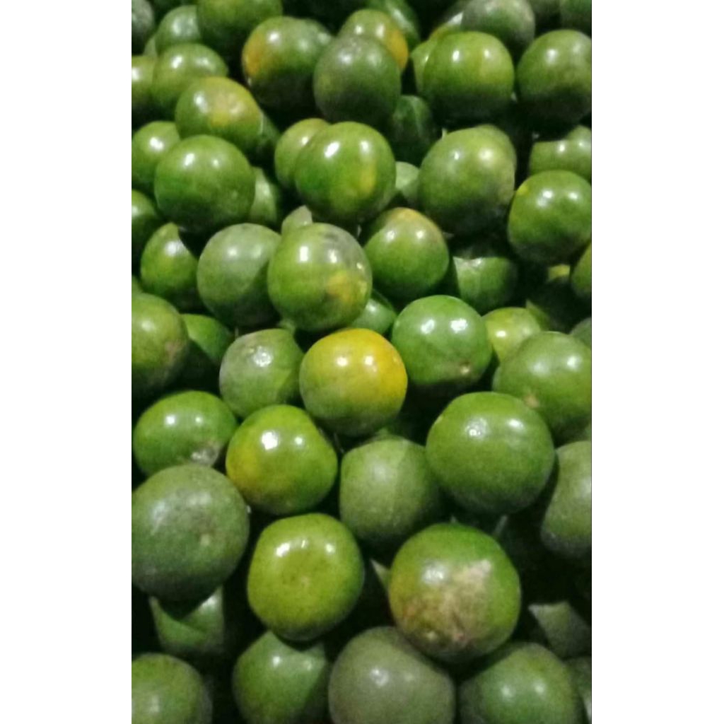 

Jeruk Peras Fresh / jeruk ES 1000 gram