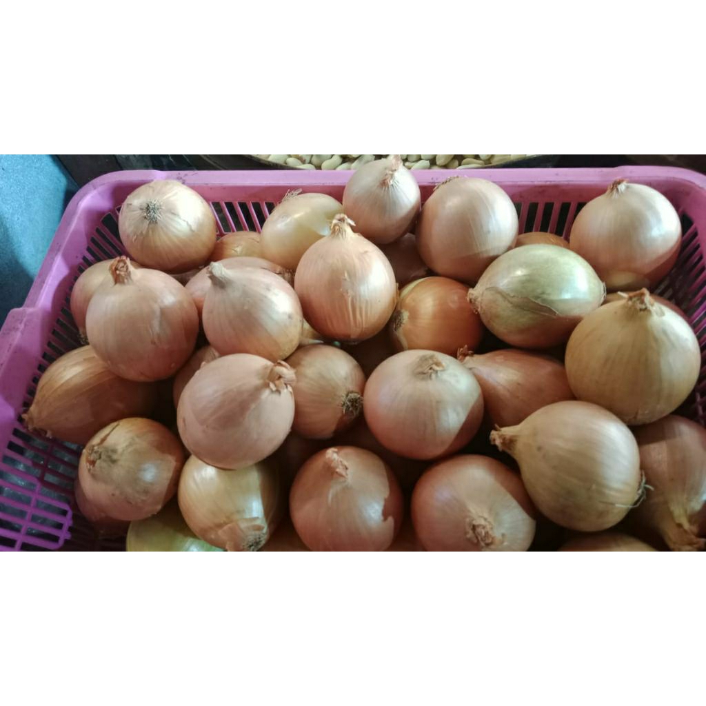 

Bawang bombay/bombay kering fres/1kg