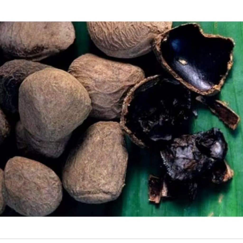 

Kluwek rawon, Kluwak premium