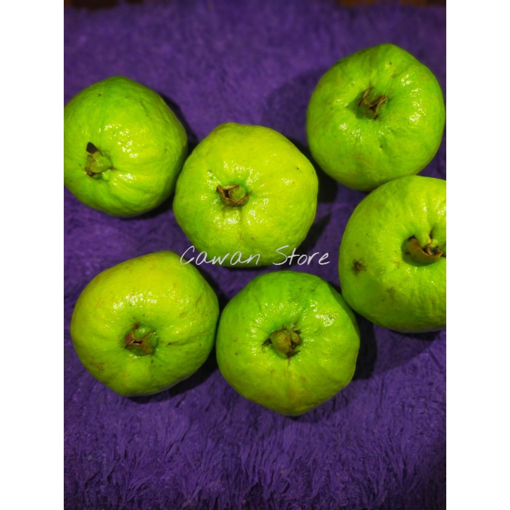 

Jambu Kristal Fresh 1kg isi 4-6 buah