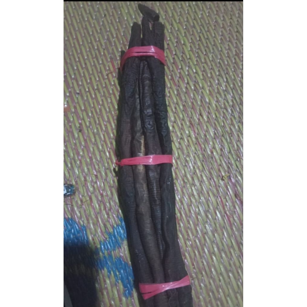 

Cacing Sonari kering