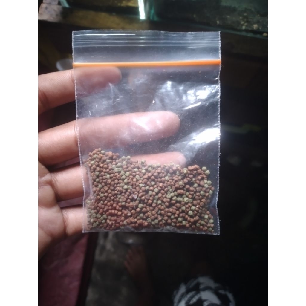 PELET PREMIUM MAXI (FRE BABY LIMBATA)