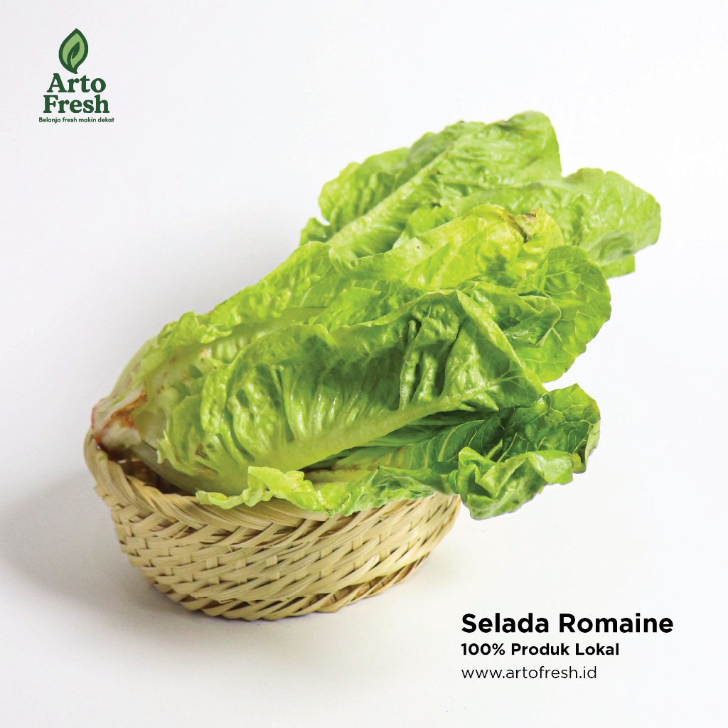 Selada Romaine segar Artofresh