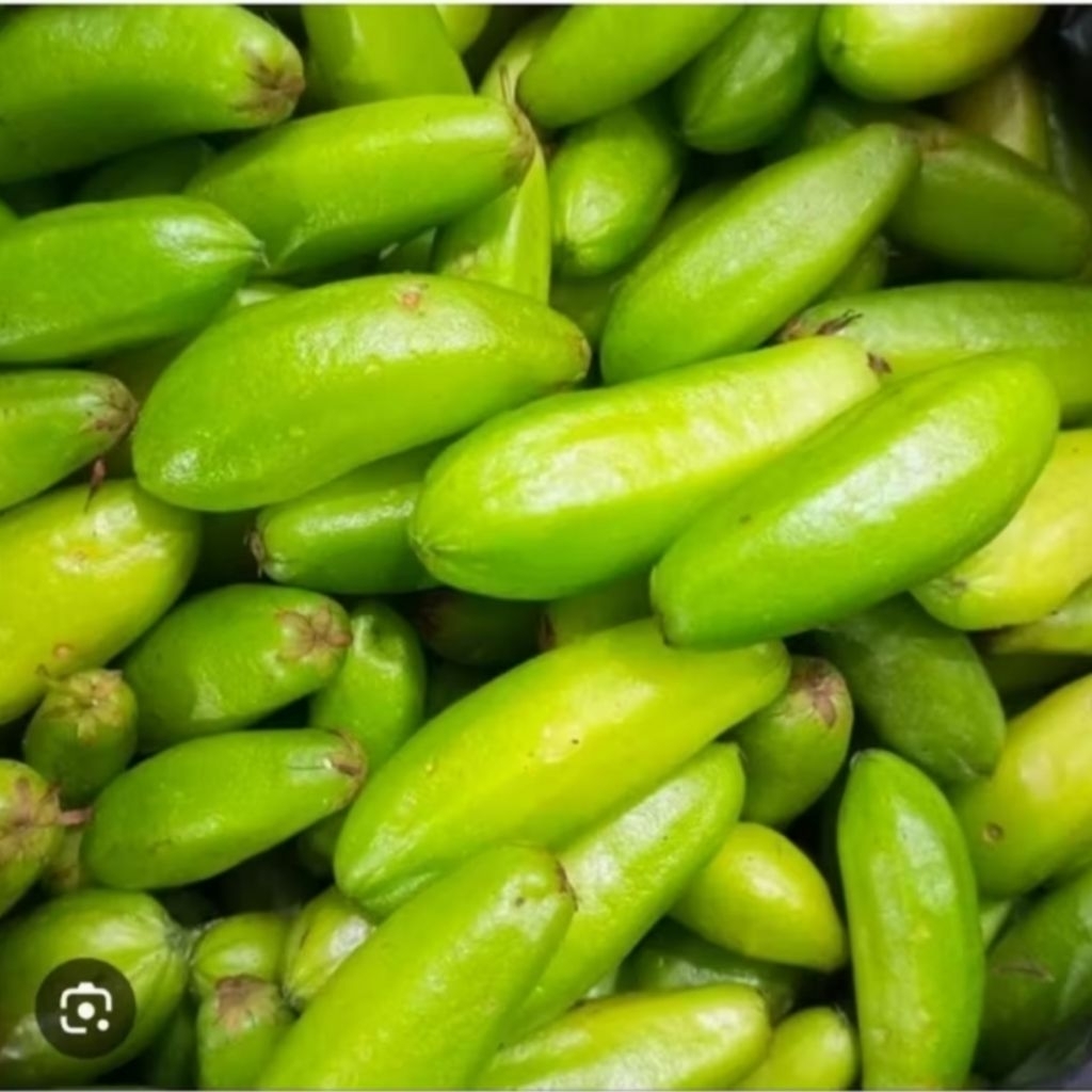 

Belimbing Sayur Segar – 500gr Asli dari Kebun