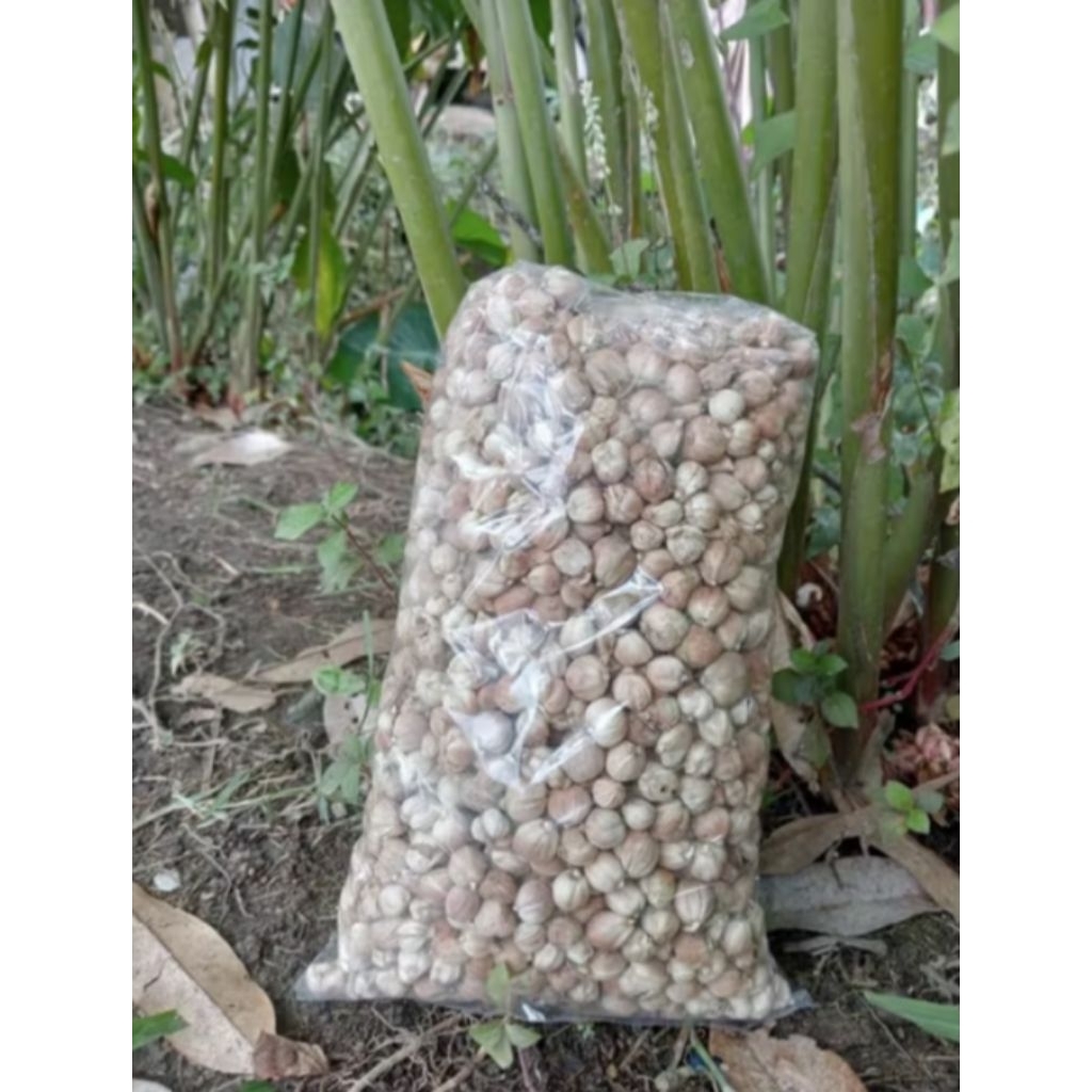 

KAPULLA KERING 1 KG ALAMI ORGANIK WANGI DARI PETANI LANGDUNG