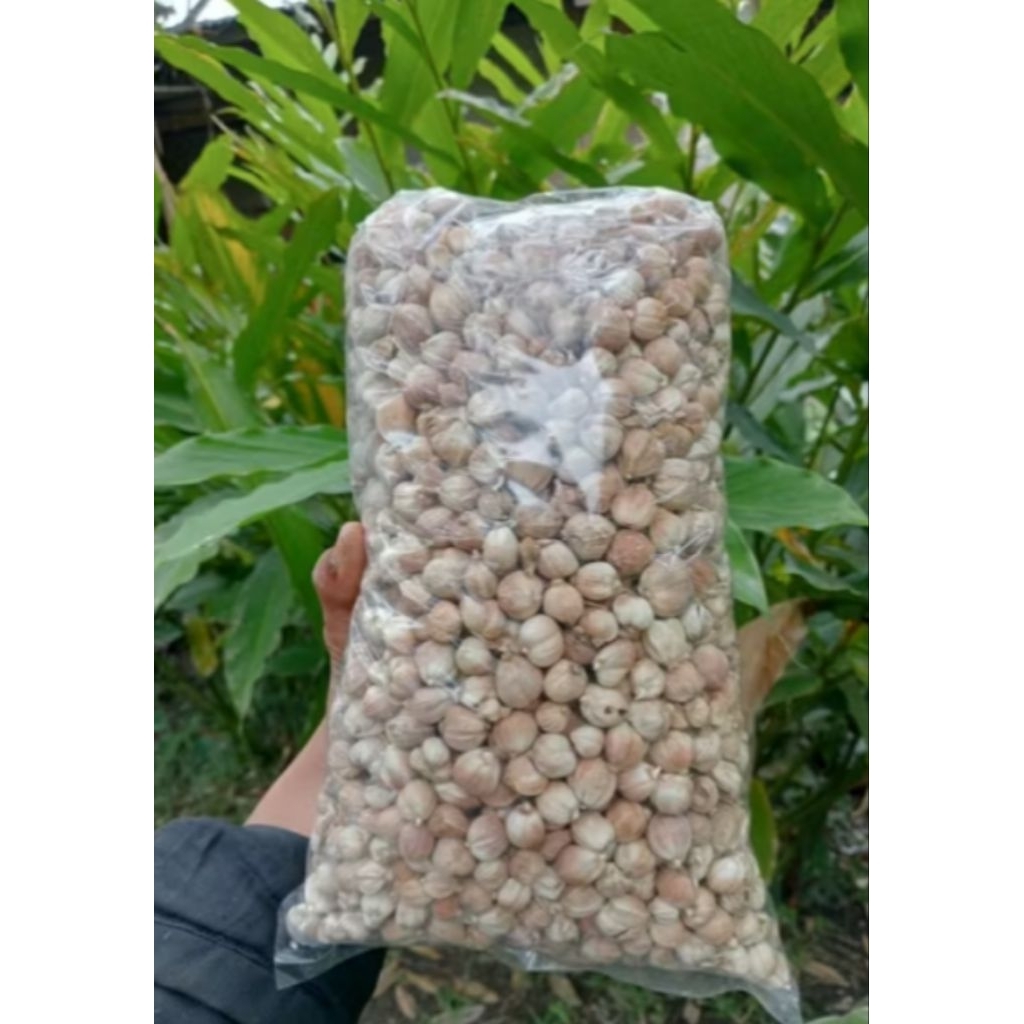 

Kapullaga kering alami 500 Gram Organik Dari Petani langsung