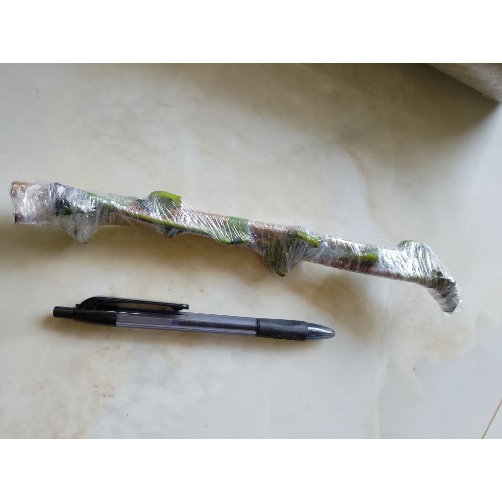 

entres jambu gajah lampung