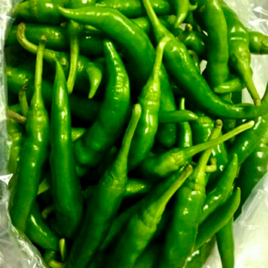 

Cabai Besar / Cabai Tanjung hijau 500gr dan 1kg Cabe Hijau Besar Segar 500 Gr Pengiriman Cepat Cabe Ijo Gede / Cabe Hijau Besar 500 Gram