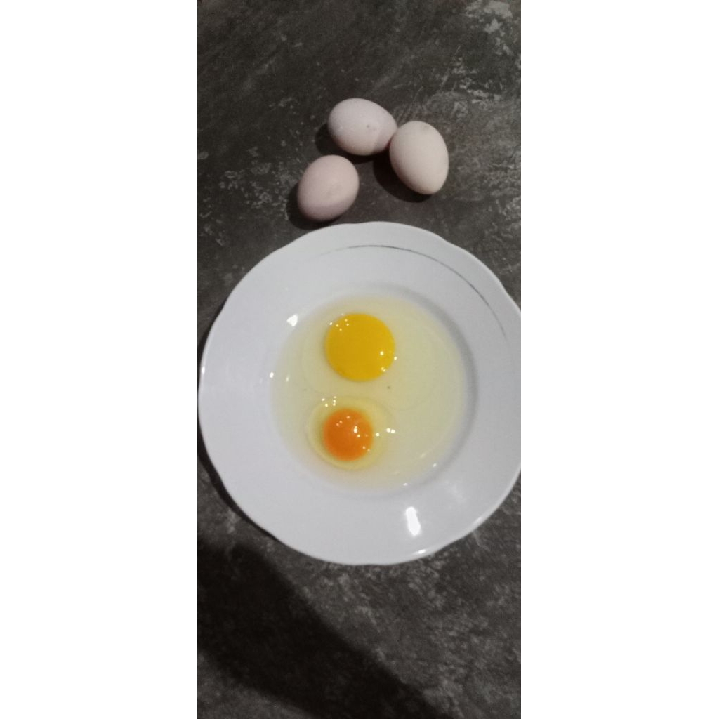 

TELUR AYAM KAMPUNG OMEGA 3 PAKET 10BUTIR