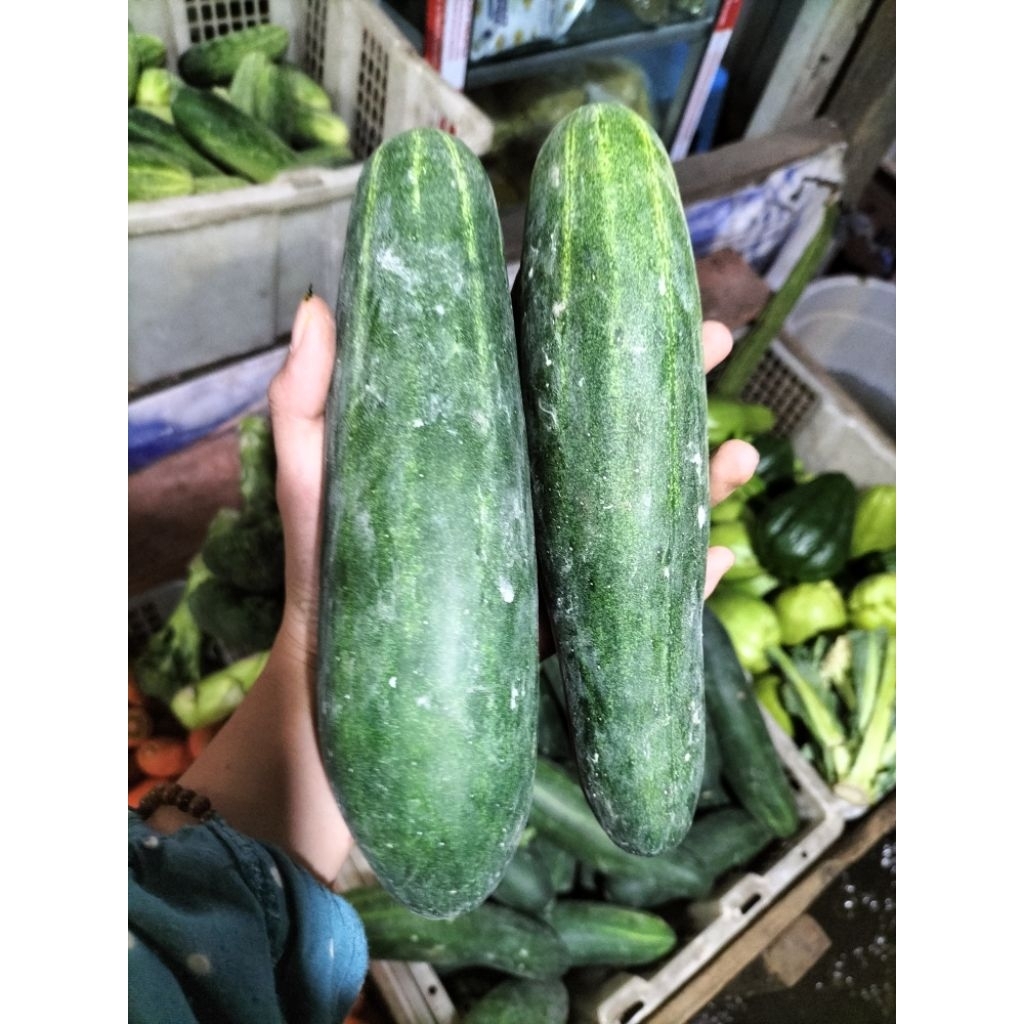 

KIRIM INSTAN I Timun 1 Kg