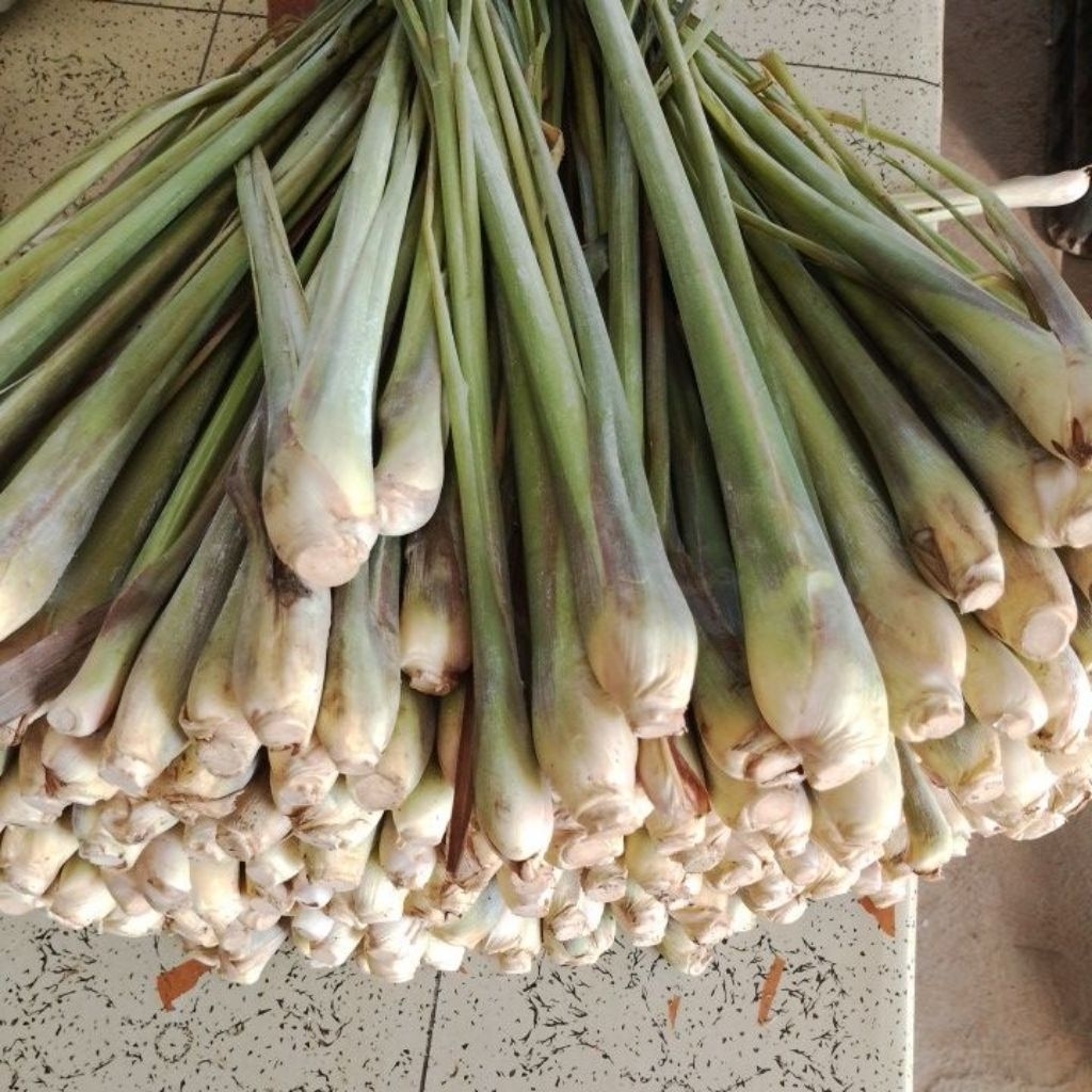 

Sereh Bangkok Pilihan Fresh 1KG