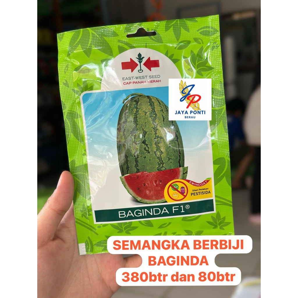 

SEMANGKA BAGINDA 80butir EXP 8/2026