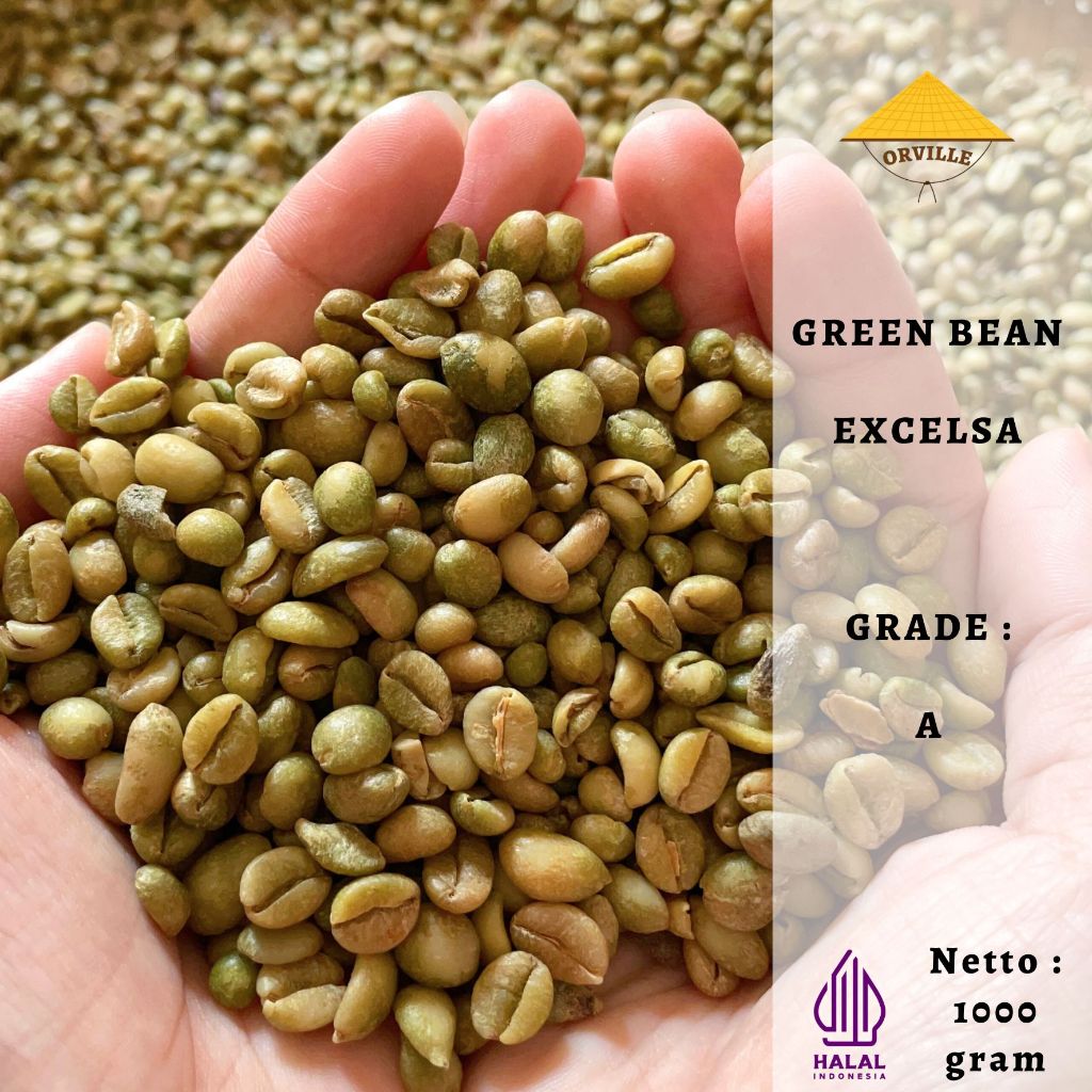 

Kopi Excelsa Biji Kopi Excelsa 1 kg Mentah Green Bean Excelsa
