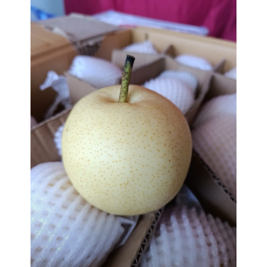 

Pir Century Manis Wangi 1 Kg