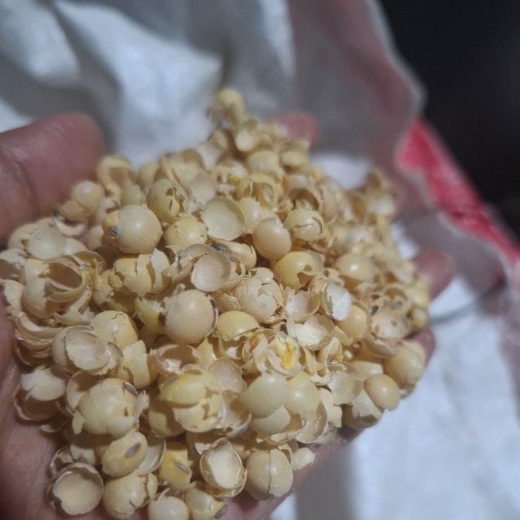 

kleci atau Kulit ari kedelai KERING 1KG