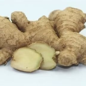 

jahe segar 1 kg gram