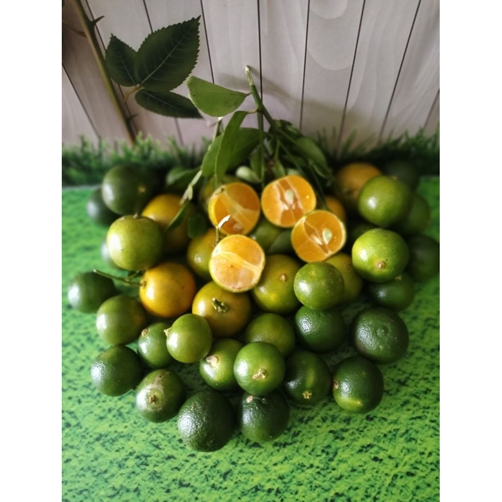 

Jeruk sonkit 500gram