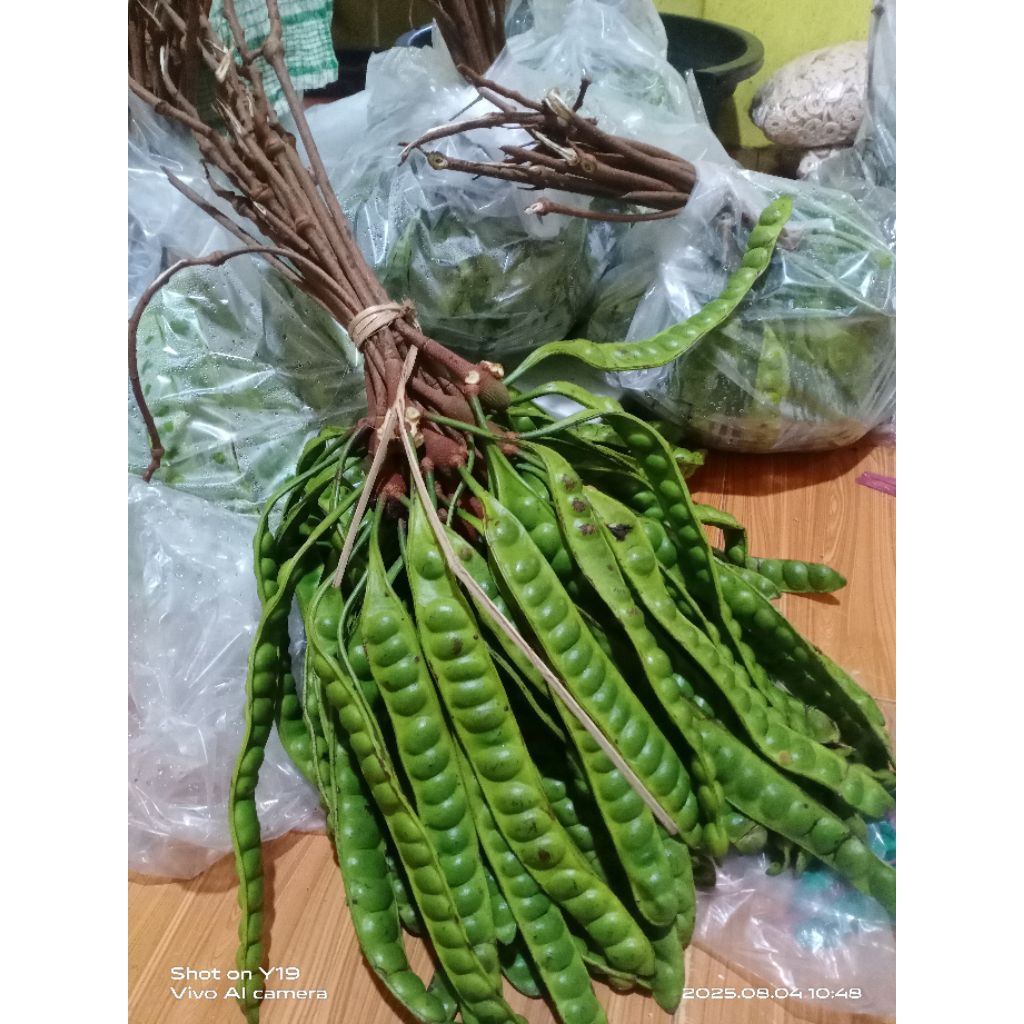 

PETE/PETAI PAPAN SEDANG 10PAPAN