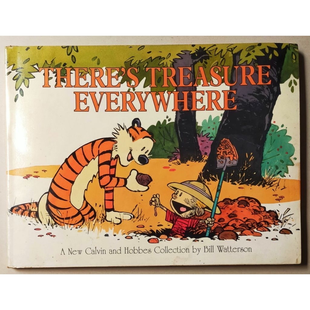Komik Import Calvin and Hobbes : There's Treasure Everywhere