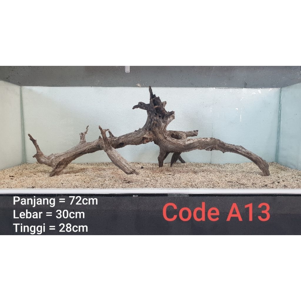 kayu santigi ( kayu tenggelam)