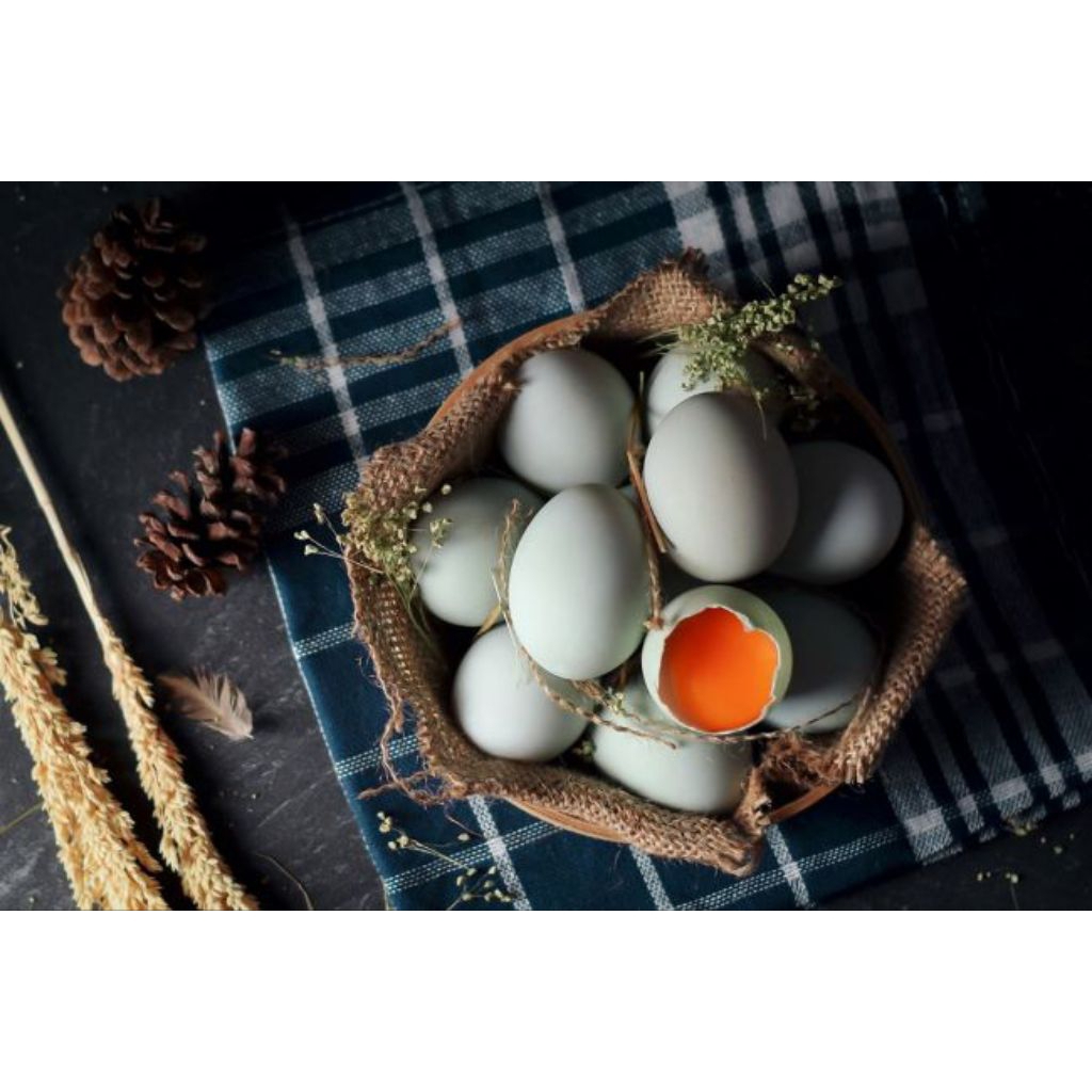 

TELUR BEBEK SEGAR BANDUNG PER 1 BUTIR