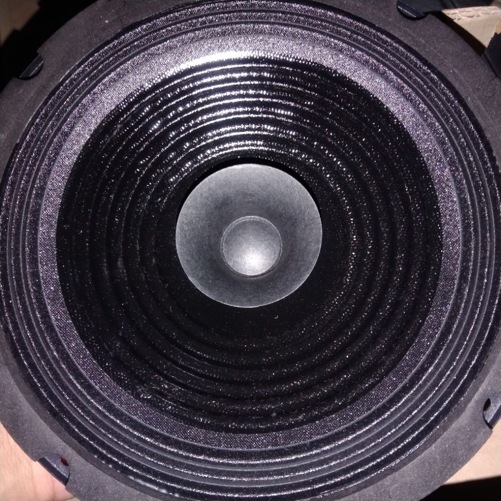 speaker Canon 8inch full range