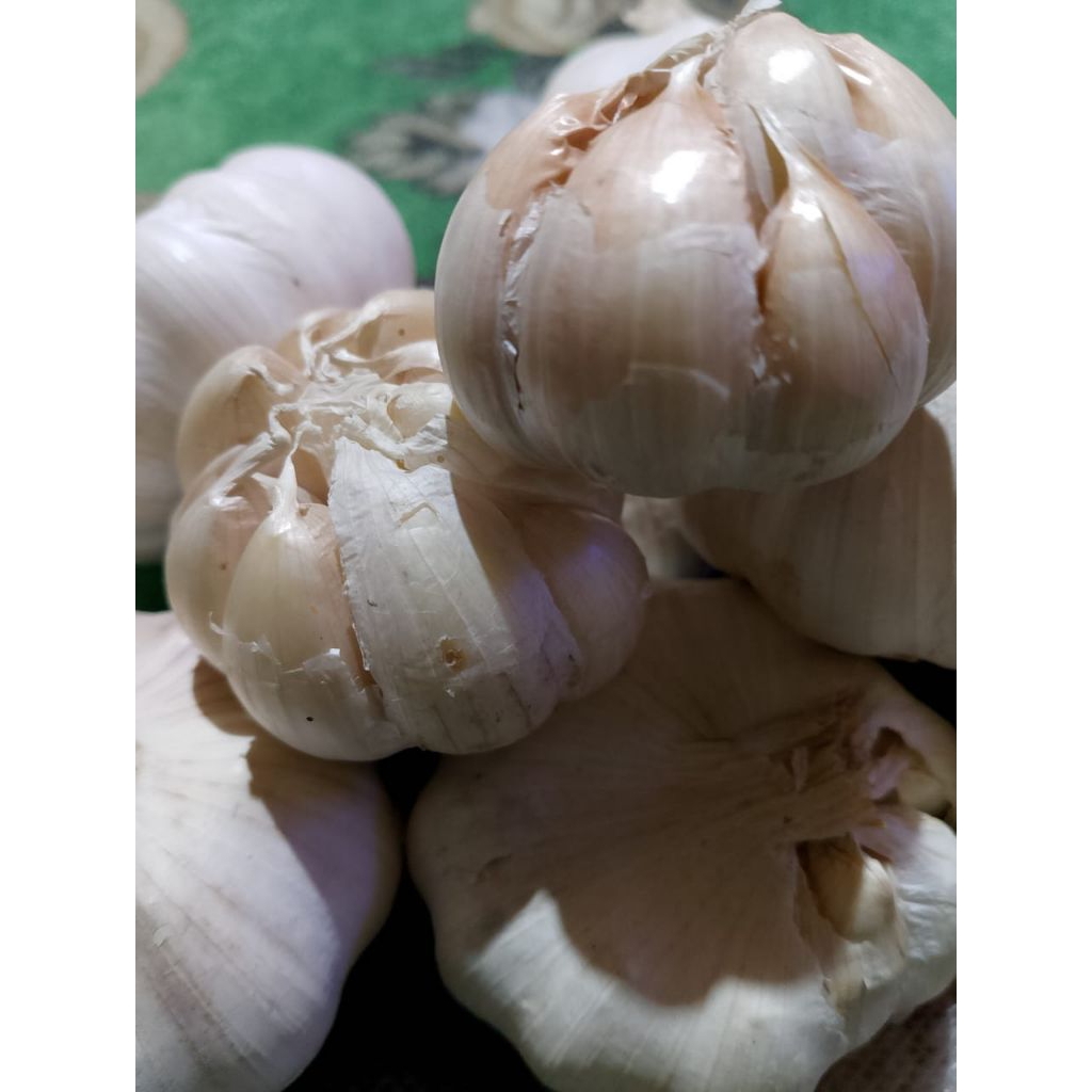 

Bawang Putih 250 Gram Super Fresh Berkualitas