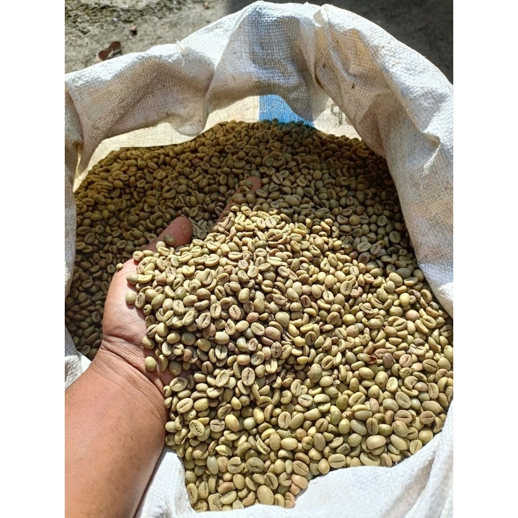 

Kopi Robusta biji kering (handpick)