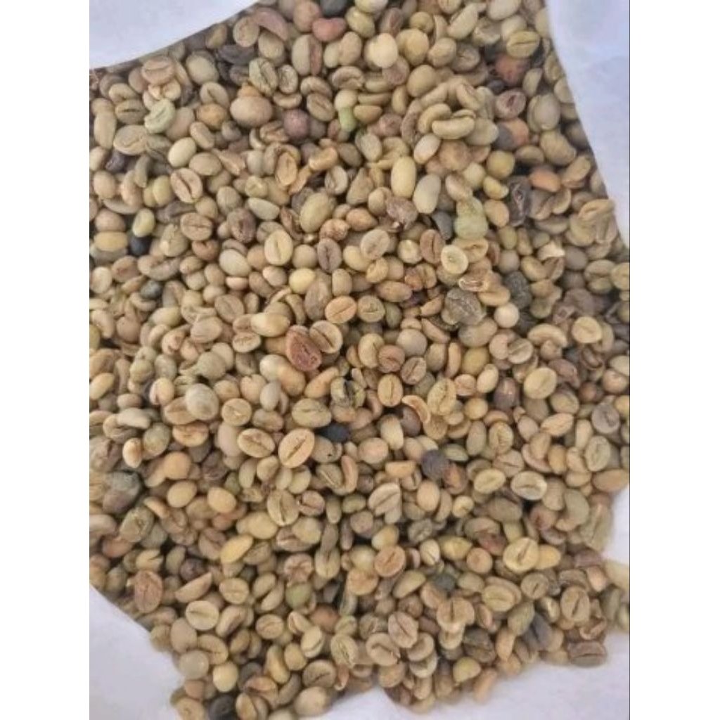 

Kopi Robusta Biji kering Asalan