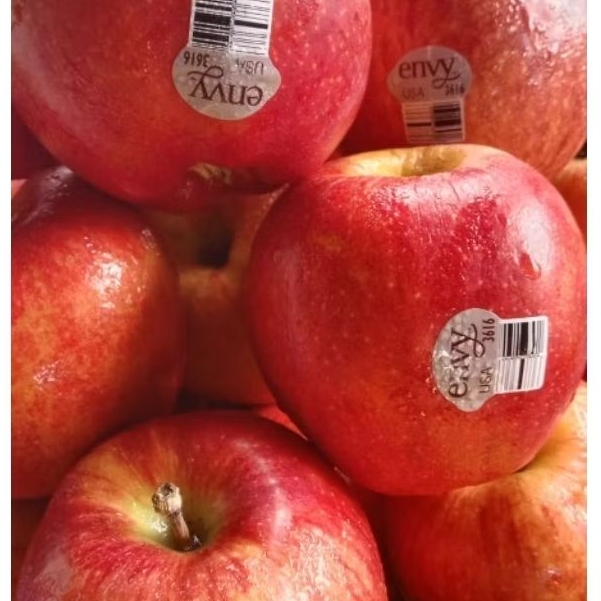 

APEL ENVY NEW JELAND garing dan manis