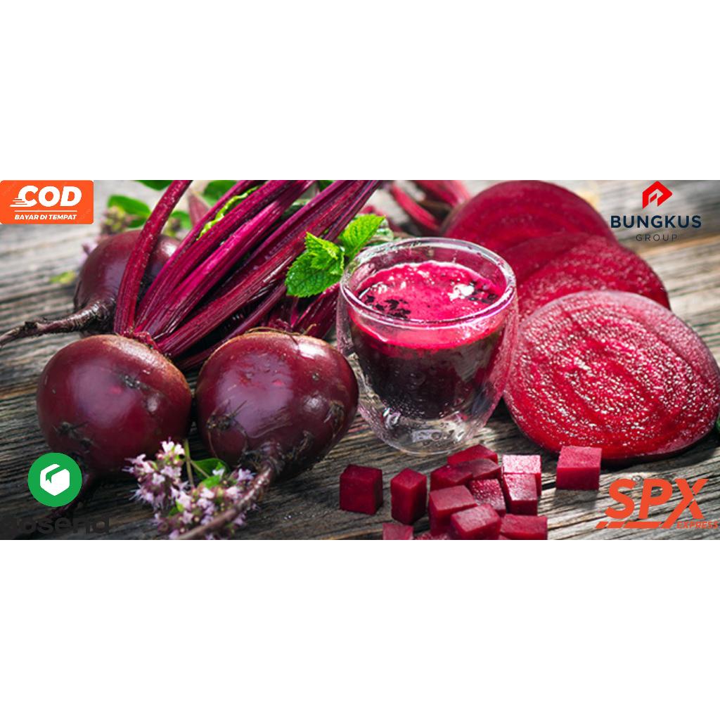 

Buah Bit / Beetroot 1 Kg Fresh Langsung Dari Kebun